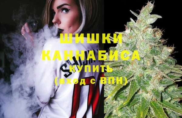 PSILOCYBIN Баксан