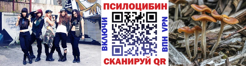 Купить где  Новоаннинский  Псилоцибиновые грибы MAGIC MUSHROOMS 